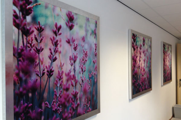 Voorbeeld van een decotex frame met een bloemen print